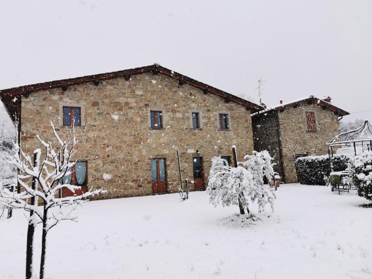 Il Cerro Guest House Pelago Exterior photo