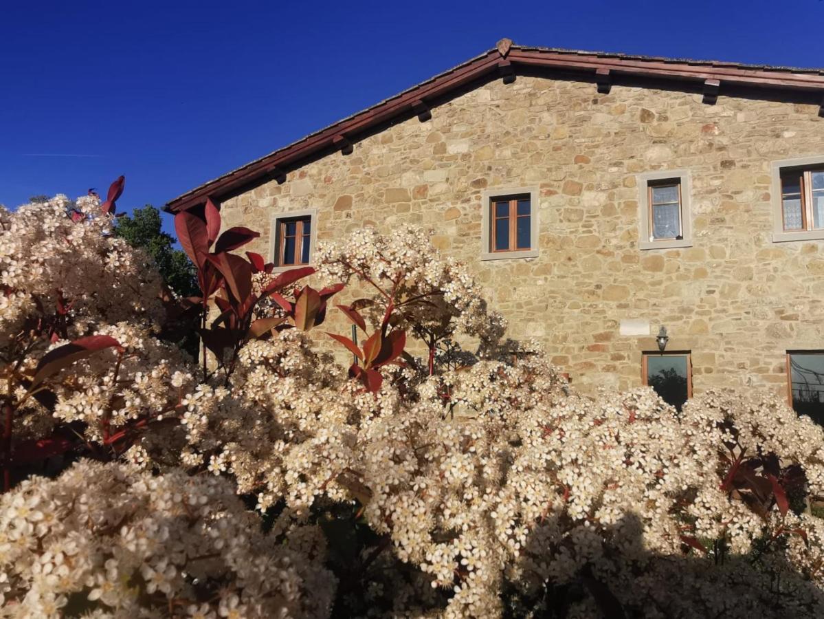 Il Cerro Guest House Pelago Exterior photo