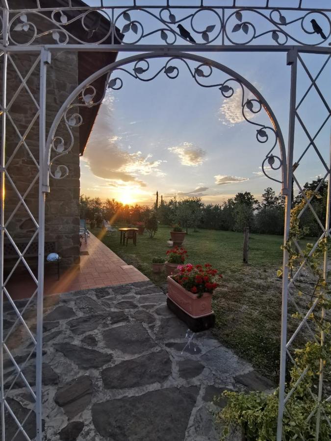 Il Cerro Guest House Pelago Exterior photo