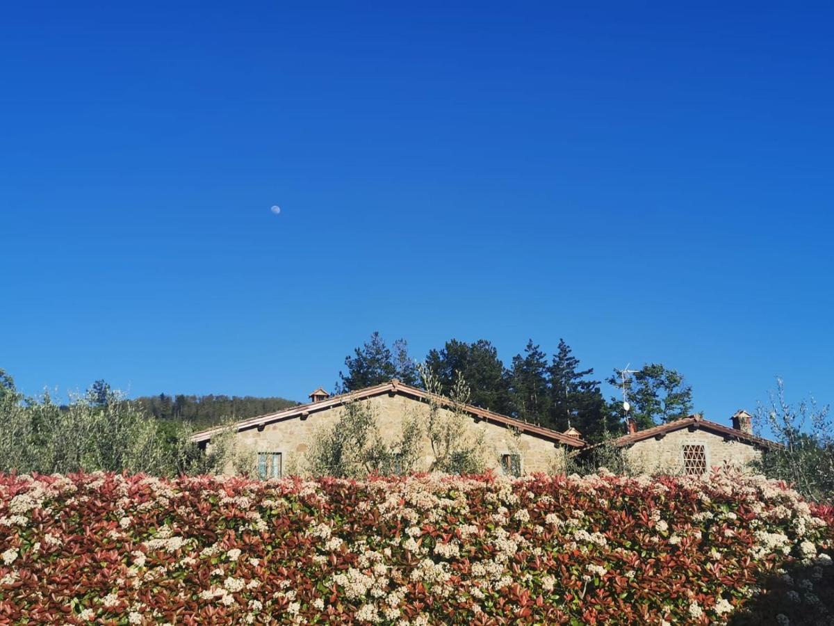 Il Cerro Guest House Pelago Exterior photo